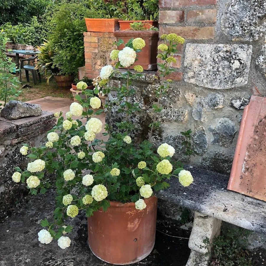 Agriturismo San Giusto Sovicille 0*,  Italy